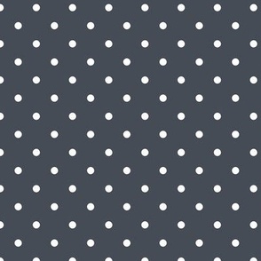 small polka dots on  medium dark shade of cyan-blue mysterious   454c55 benjamin moore 