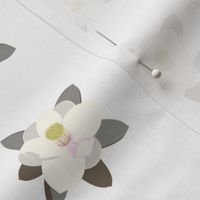 pale magnolia -small