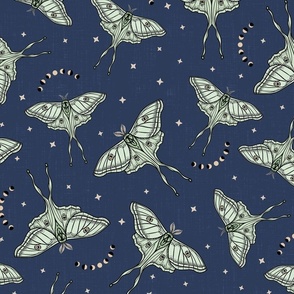 Scattered Luna Moths with moon phases - Blue,  multi-directional - medium