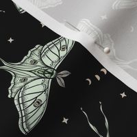 Scattered Luna Moths with moon phases - Black, multi-directional - small