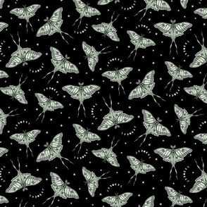 Scattered Luna Moths with moon phases - Black, multi-directional - small