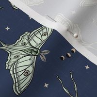 Scattered Luna Moths with moon phases - Blue, multi-directional - small