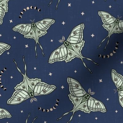 Scattered Luna Moths with moon phases - Blue, multi-directional - small