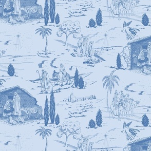 Blue and Light Blue Nativity Toile