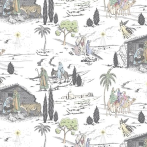 Grey Color Nativity Toile