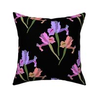 Iris Ballet #2 - black, medium to large