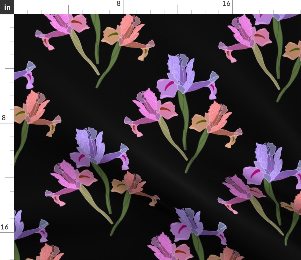 Iris Ballet #2 - black, medium to large