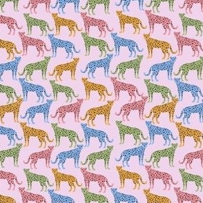 Cheetah Pattern - Pink 