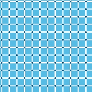 Plaid Grid and Dots in Swallow Turquoise/Blue