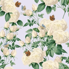 WHITE ROSE CHINTZ - ENGLISH GARDEN COLLECTION (LAVENDER)