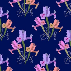 Iris Ballet #1 - midnight blue, medium to large 