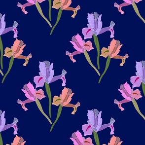 Iris Ballet #2 - midnight blue, medium to large