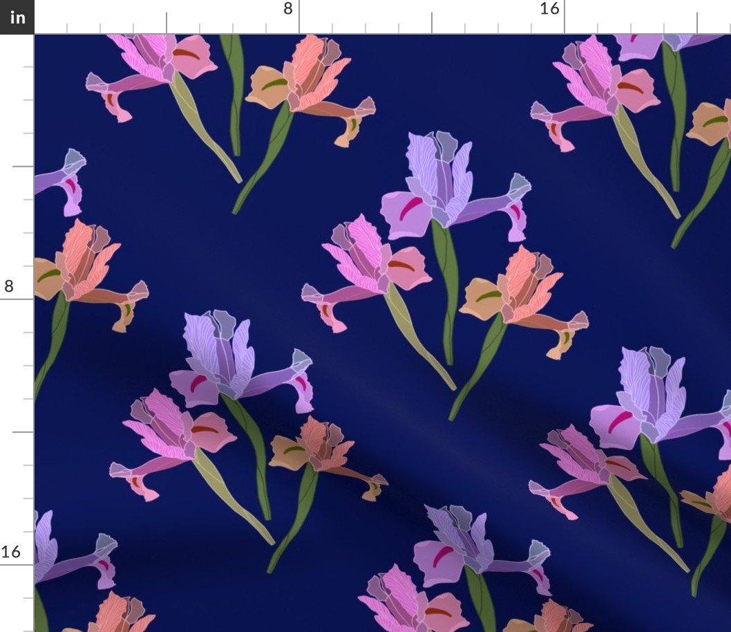 Iris Ballet #2 - midnight blue, medium to large