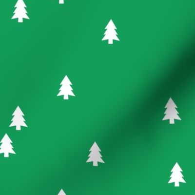 pine trees: christmas green