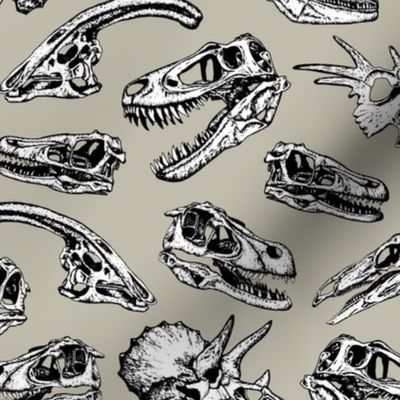 Gray Dinosaur Skulls