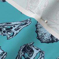 Turquoise Blue Dinosaur Skulls