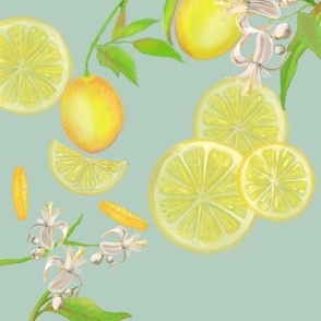 Lemon Blossom Mirror rpt