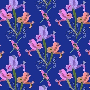 Iris Ballet & Bird #2 - sapphire blue, medium to large