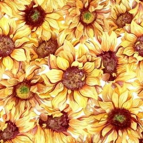 Sunflowers