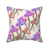 Iris Frenzy! - blush cream, medium to large