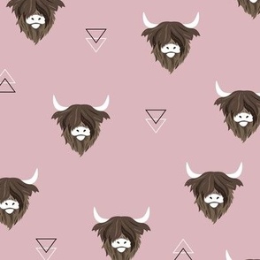 Sweet highlands with white horns and fuzzy hair highland cows rust brown on moody rose blush