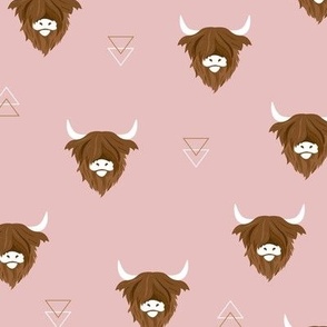 Sweet highlands with white horns and fuzzy hair highland cows rust brown on blush pink