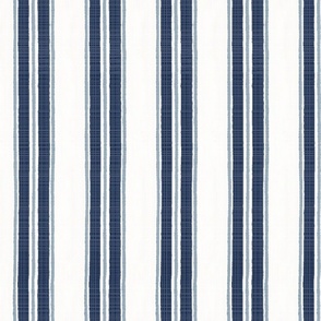 Hale NAvy and Providence Blue  Anderson Stripe