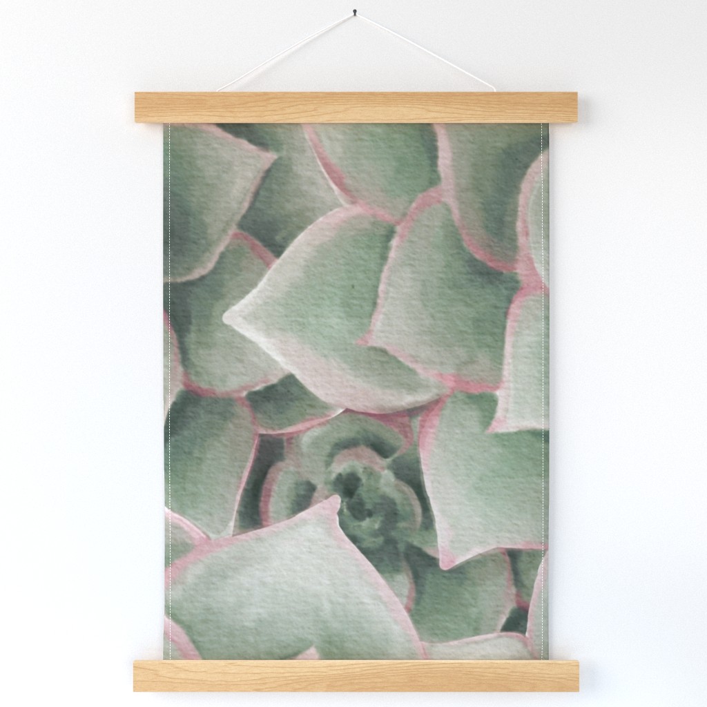 succulents wall hanging