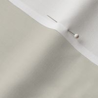 Bone White Solid Color Coordinates w/ Benjamin Moore 2022 Popular Hue Morning Dew OC-140 - Shade - Colour Trends