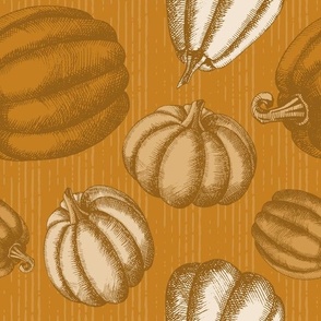 Rustic Pumpkin | Desert Sun  (Petal Signature Cotton Solid Coordinate - Cozy Palette)
