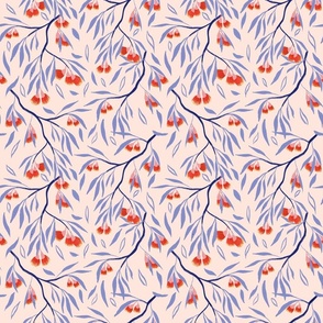  Eucalyptus flowers in pink background 