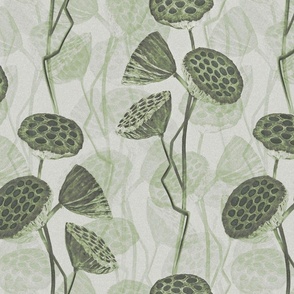 lotus_pods_sage_green