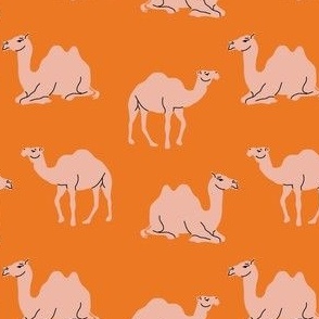 Zealous-Zoo-Camels-Orange