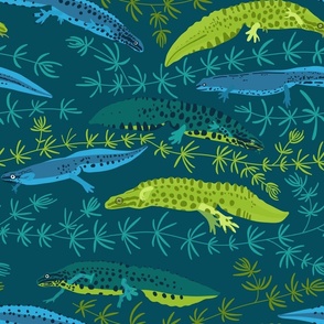 quirky newts - blue
