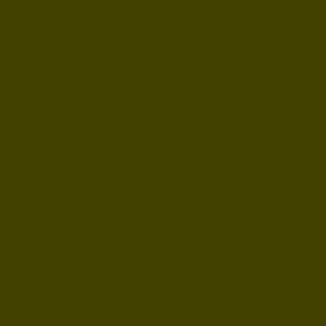 Hedge Witch Dark Olive Solid / Earth Tones / Dark Moody