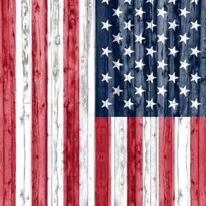 (1/2 yard minky) cropped American Flag - C21