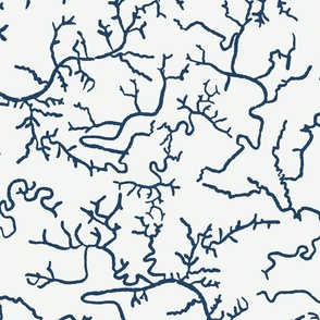 Tidal Blue Waterways | Lowcountry Marsh Waterways