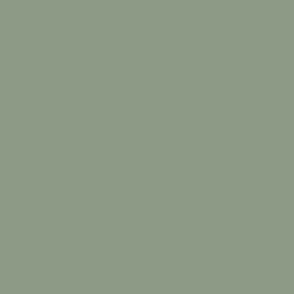 Soft Green Solid Color Coordinates w/ Benjamin Moore 2022 Popular Hue High Park 467 - Shade - Colour Trends