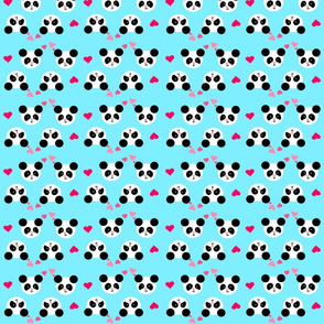 Panda Love Blue Small