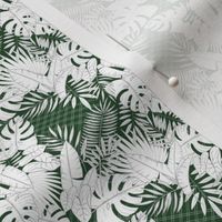 Tropical Wall // Normal Scale // Green White Background // Monstera Leaf // Strelitzia Leaf // Palm Leaf