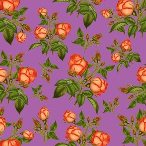 ORANGE ROSES - TERRACE GARDEN COLLECTION (MULBERRY)