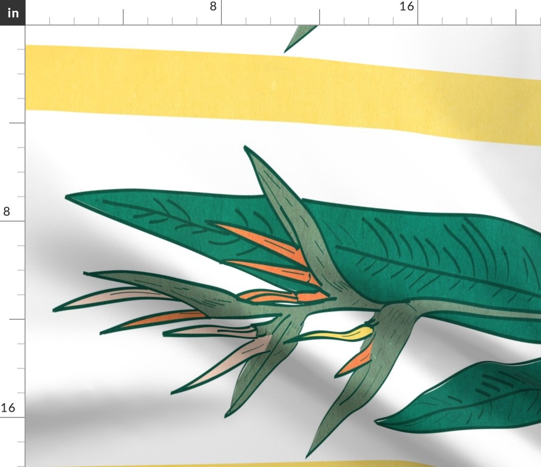 Strelitzia flowers leaf sketch, contour pink yellow green  on white background. Simple art