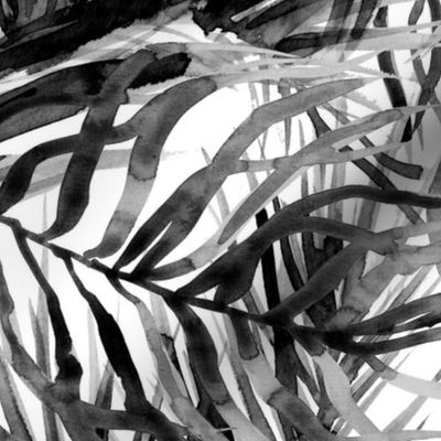 Tropical leaves black and white watercolor