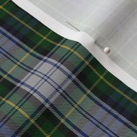 Dress Gordon Scottish Tartan Plaid Pattern