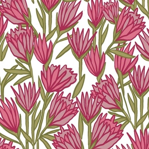 CT2128 Protea - Red