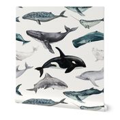 Ocean Animals - Watercolor Whales, Dolphins and Sharks