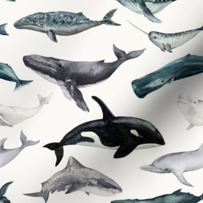 Ocean Animals - Watercolor Whales, Dolphins and Sharks