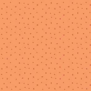 small - boho stars in coral on orange