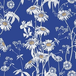 white daisy dark blue