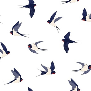 Flight of swallows